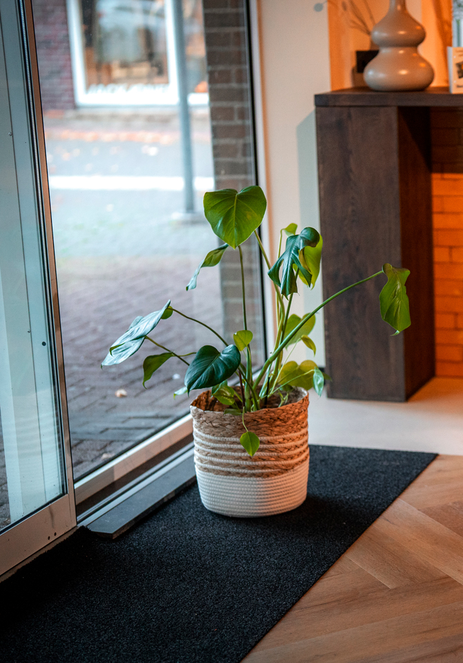 019a0a9985407584a3ab451da63a0242