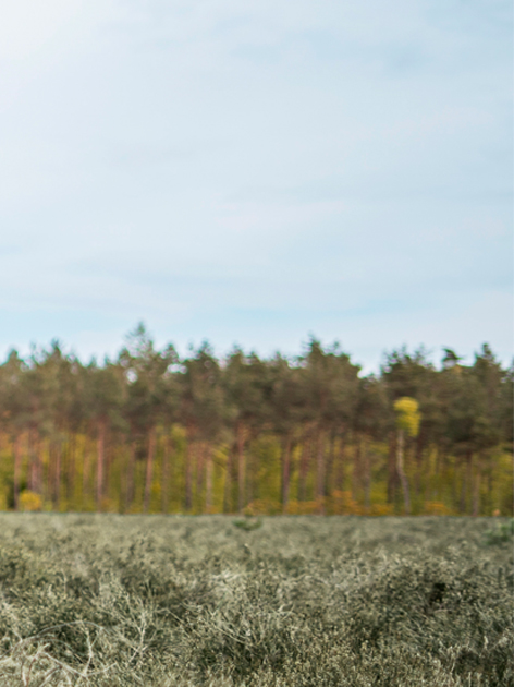 019a06c4b1987511b5b10a91b9461a1b